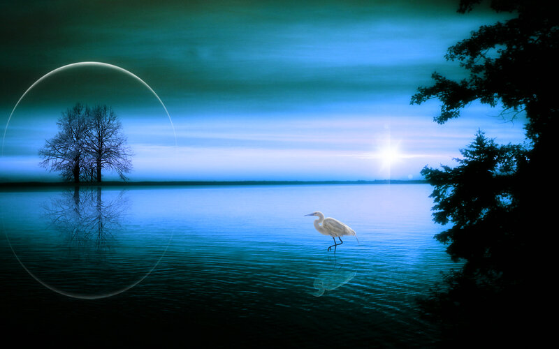 White Heron in Water — Blue