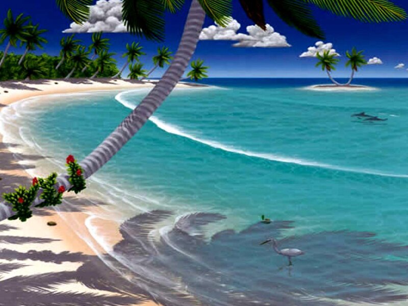 White Heron on Beach — Blue