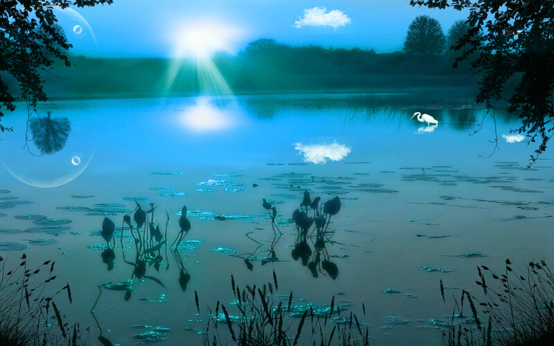 White Heron on Lake — Blue, Serene, Morning