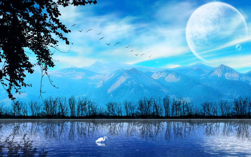 White Heron on Lake — Blue