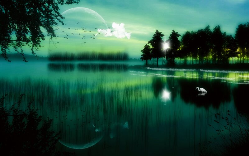 White Heron on Lake — Green