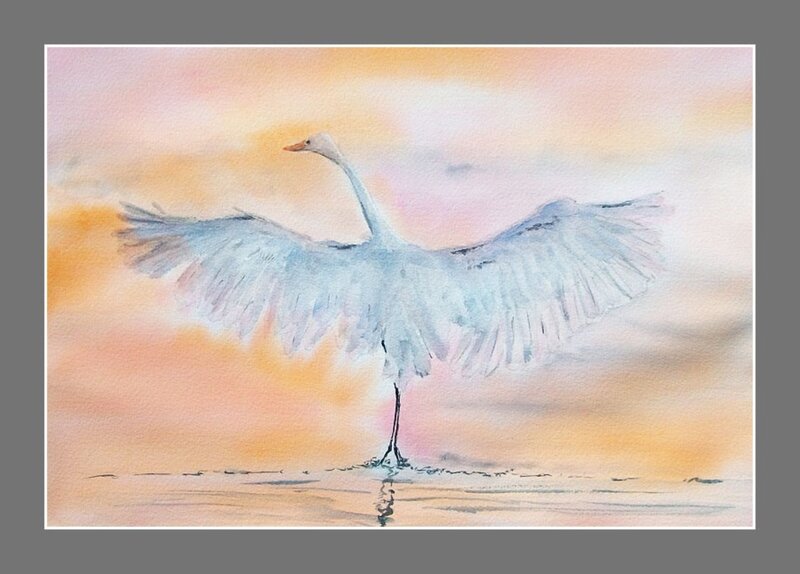White Heron Spreading Wings