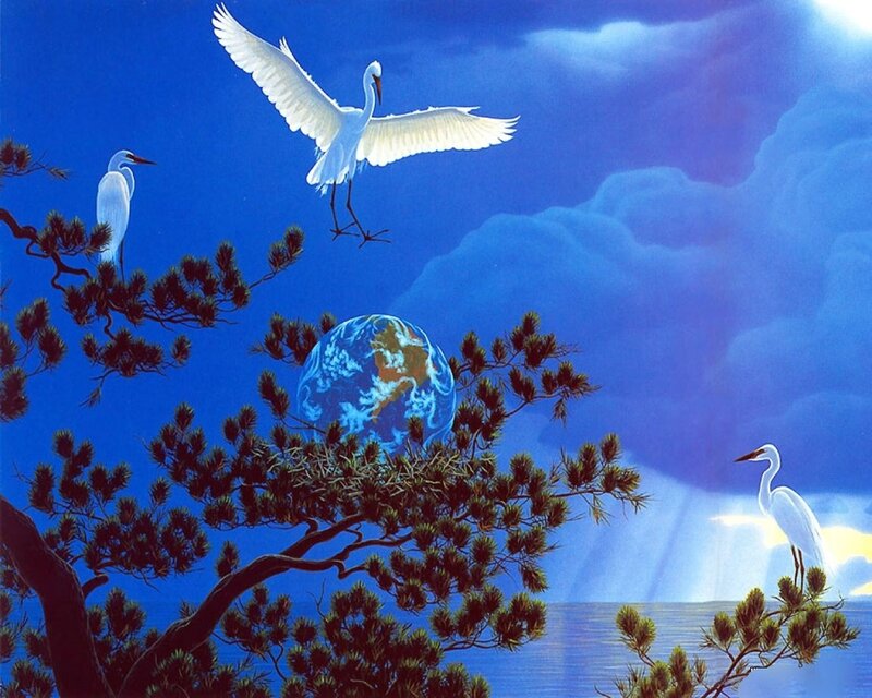 White Herons and Earth