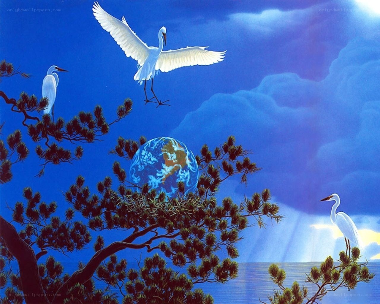 White Herons and the Earth