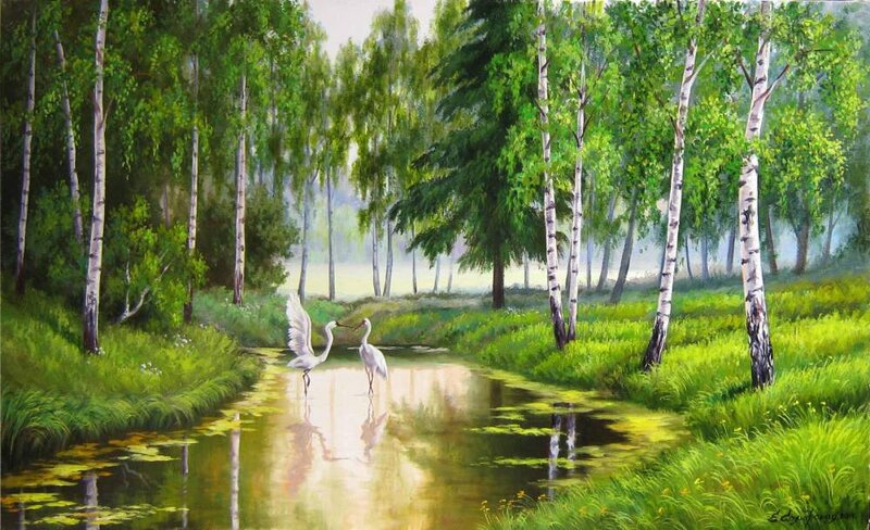 White Herons in Forest