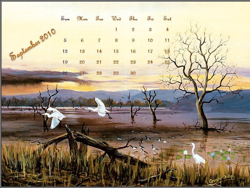 White Herons in Marsh — Brown