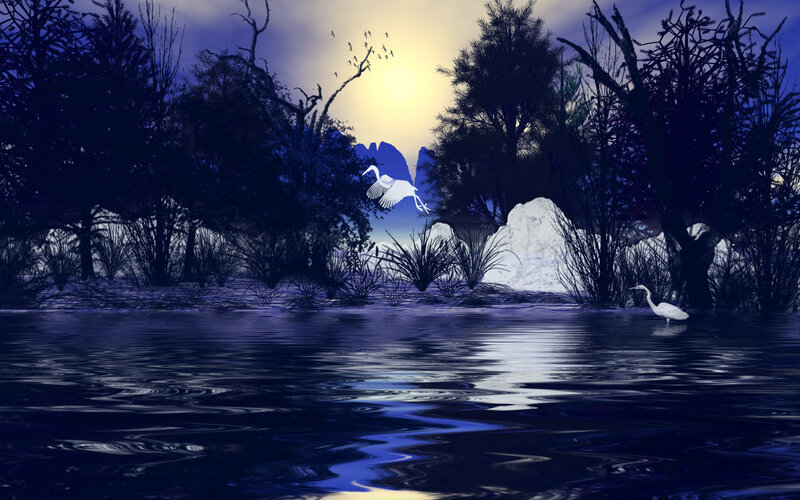 White Herons in Marsh
