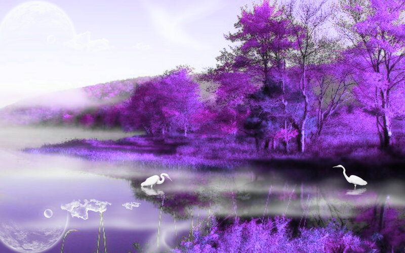 White Herons in Purple Landscape