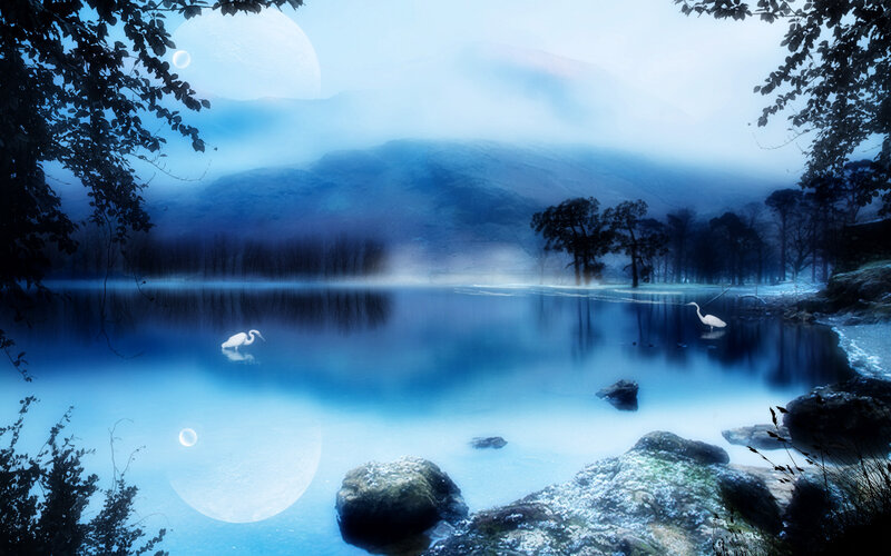 White Herons on Lake