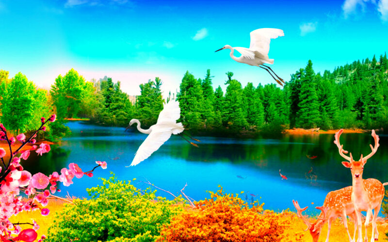 White Herons over Lake