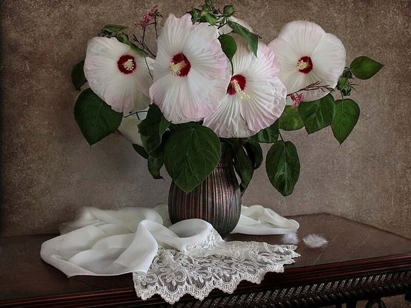 White Hibiscus Flowers — Serene, Photograph, Vase