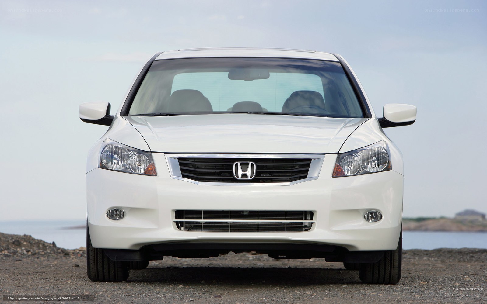 White Honda Accord front view