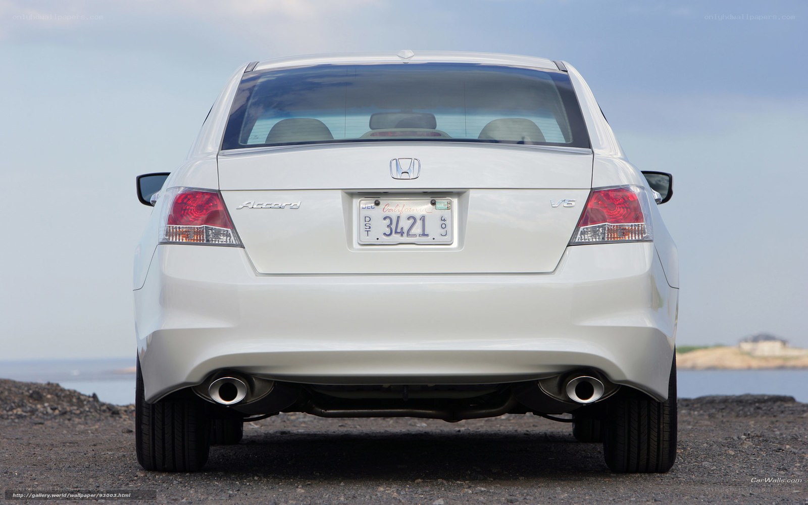 white honda accord rear view