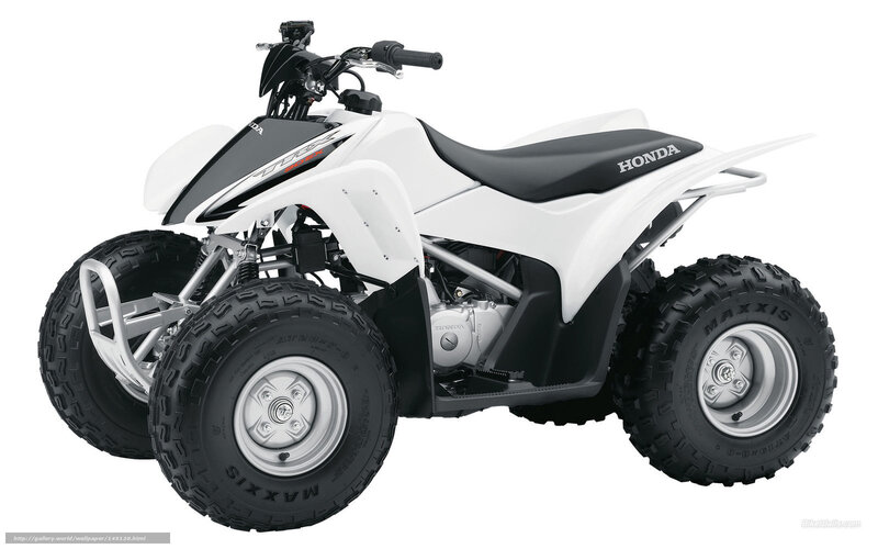 White Honda ATV — Neutral, Photograph