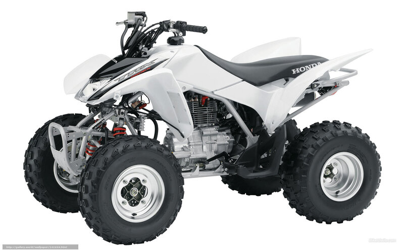 White Honda ATV — Neutral