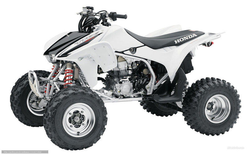 White Honda ATV quad