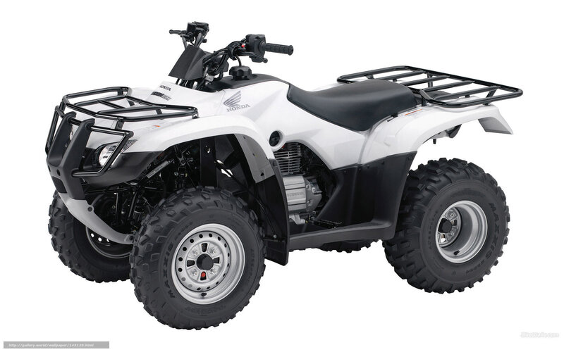 White Honda ATV with racks