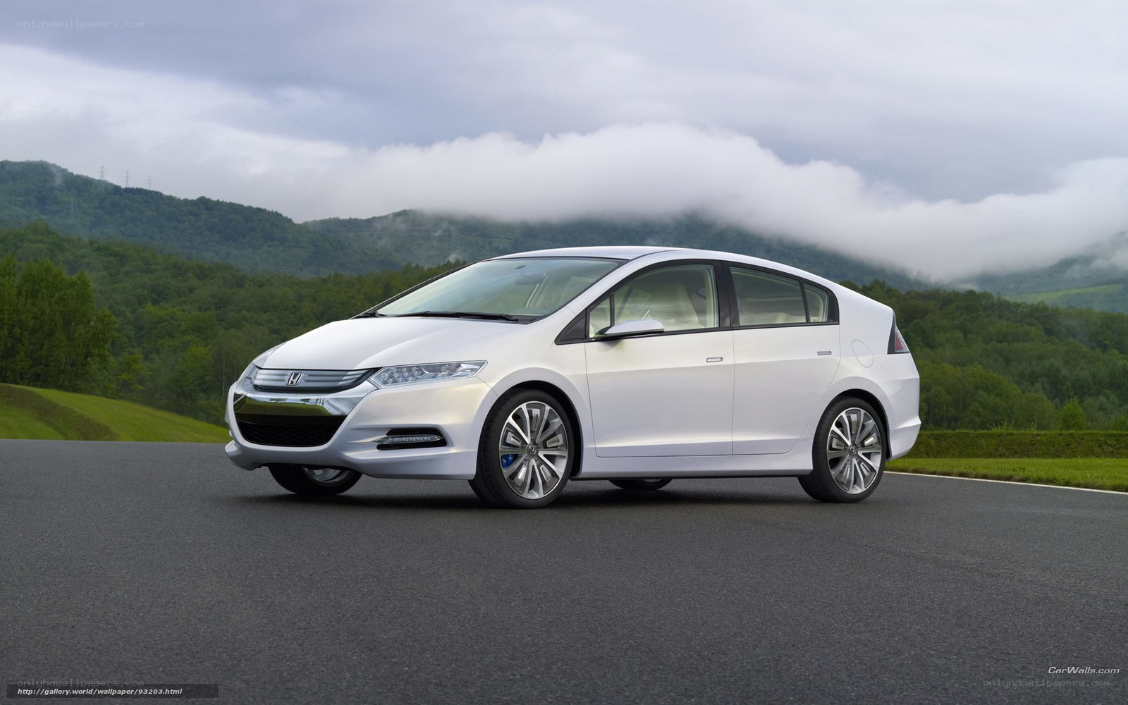 White Honda Insight on a road