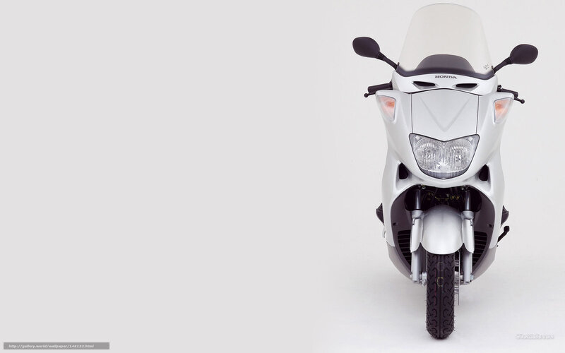 White Honda scooter front view