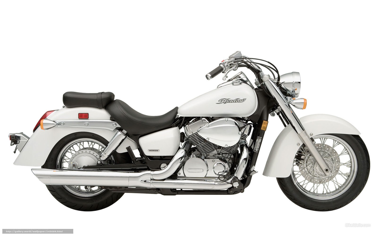 white honda shadow motorcycle