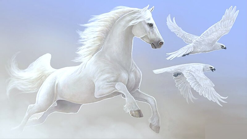 White horse and birds in flight