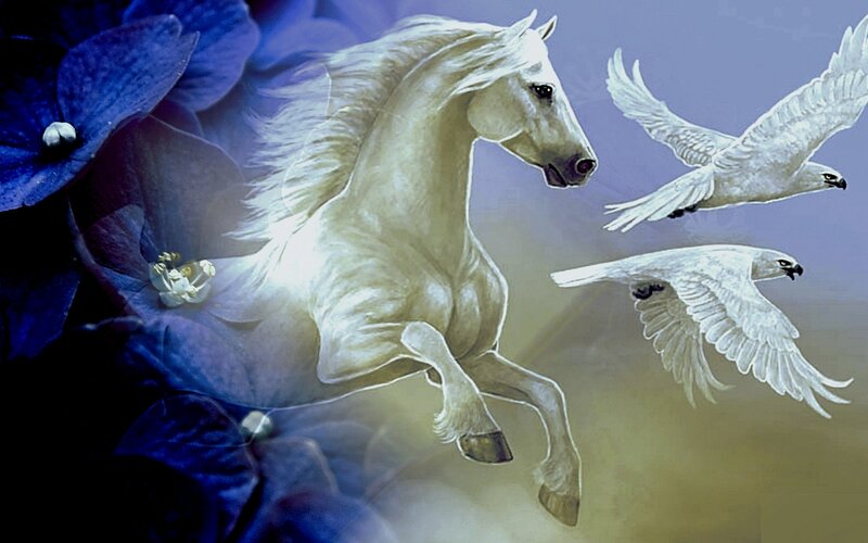 White Horse and Birds