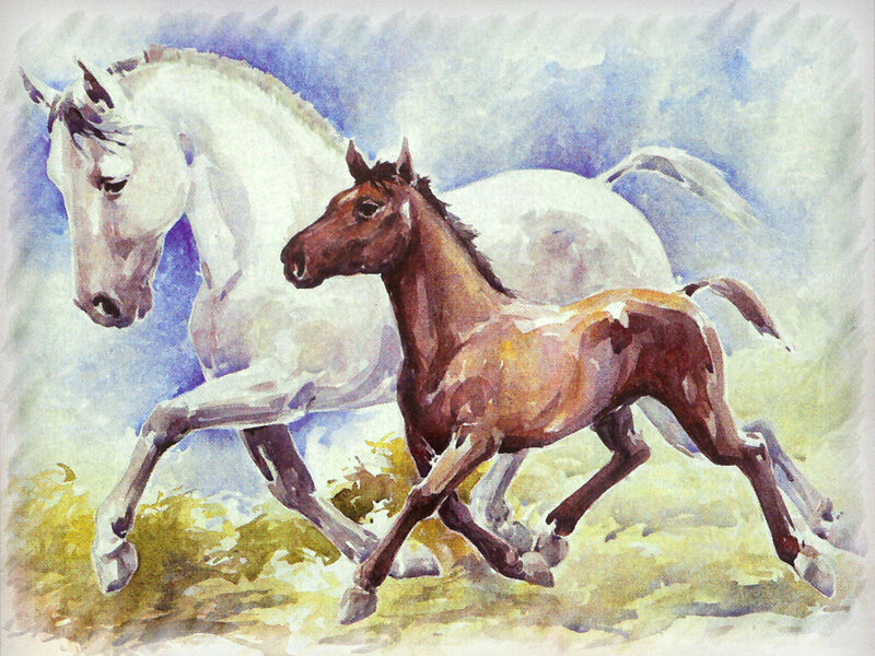 White Horse and Brown Foal