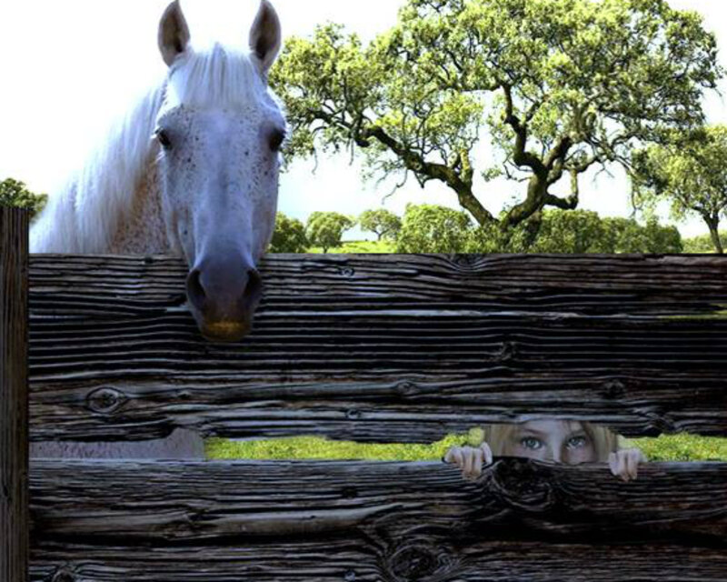 White Horse and Child