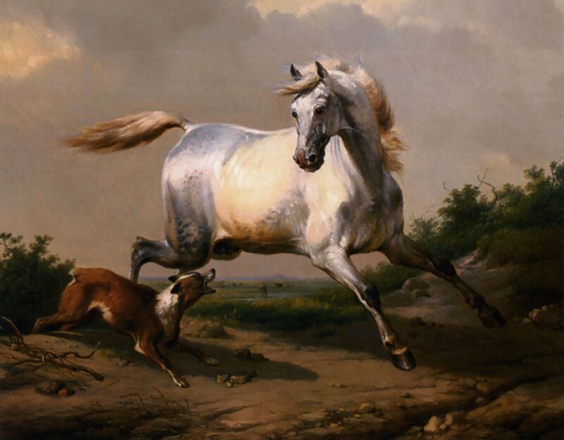 White Horse and Dog — Gray