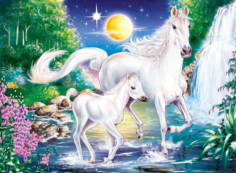 White Horse and Foal — Serene, Night