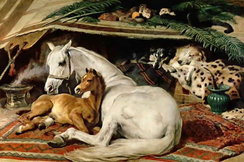 White Horse and Foal — Serene, Painting