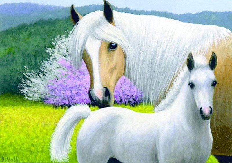 White Horse and Foal — Serene, Spring