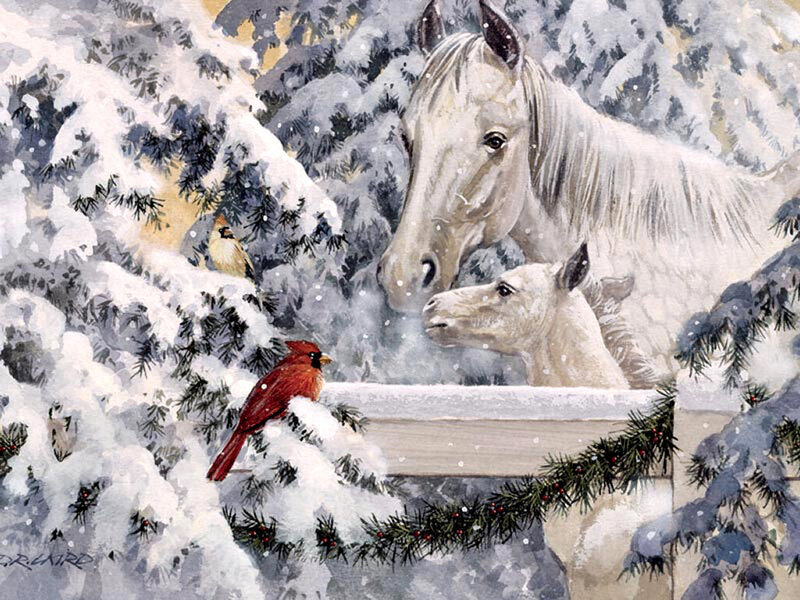 White Horse and Foal — Serene, Winter