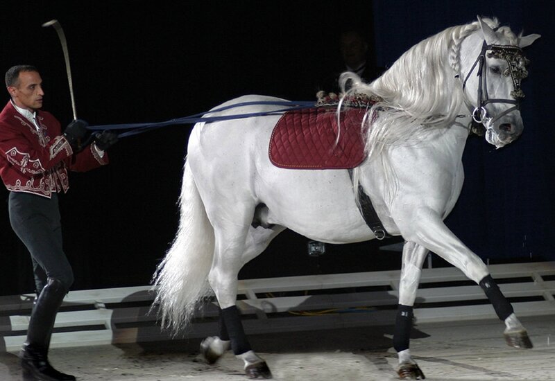 White Horse and Handler