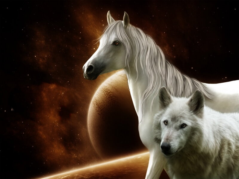 White Horse and Wolf — Dramatic
