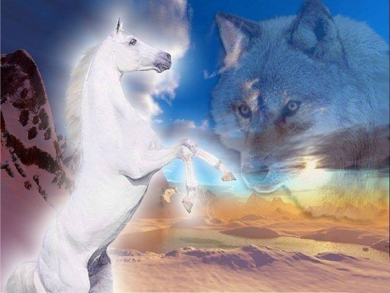 White Horse and Wolf