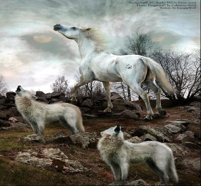 White Horse and Wolves — Dramatic