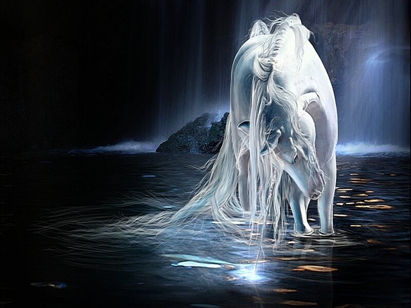 white horse at waterfall