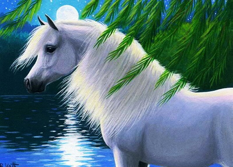 White Horse by Water