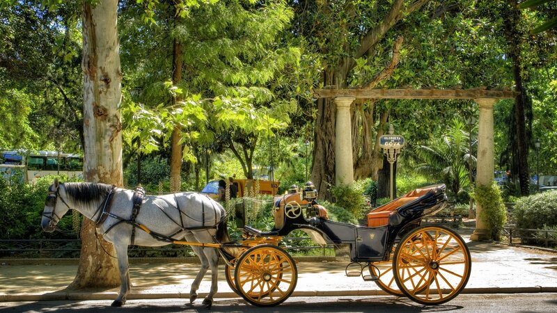 White Horse Carriage — Green