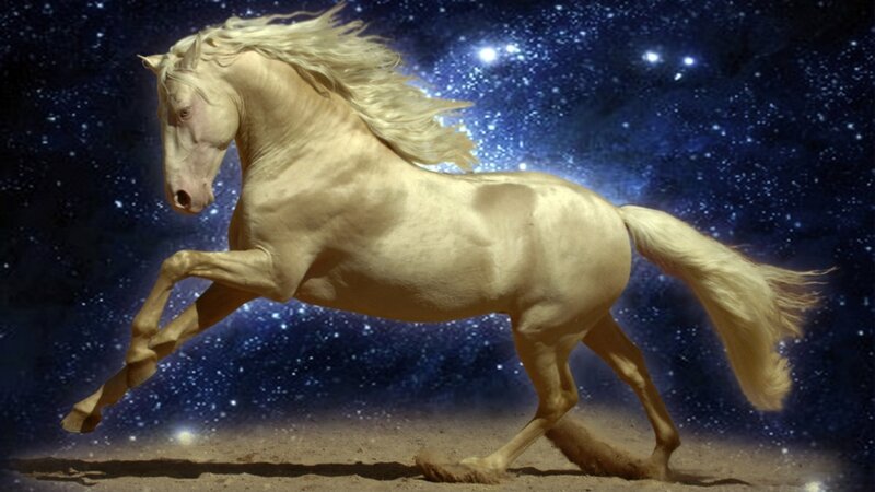 white horse galloping in starry sky