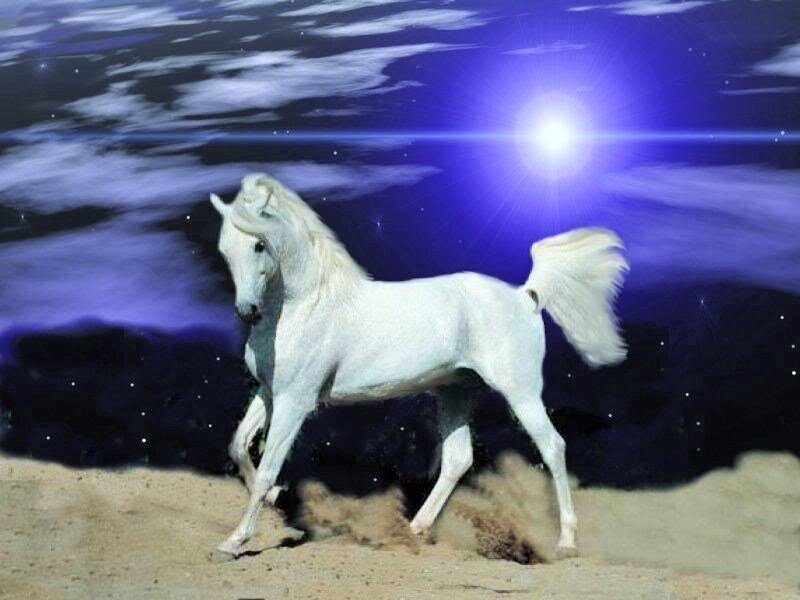 White horse galloping under starlight