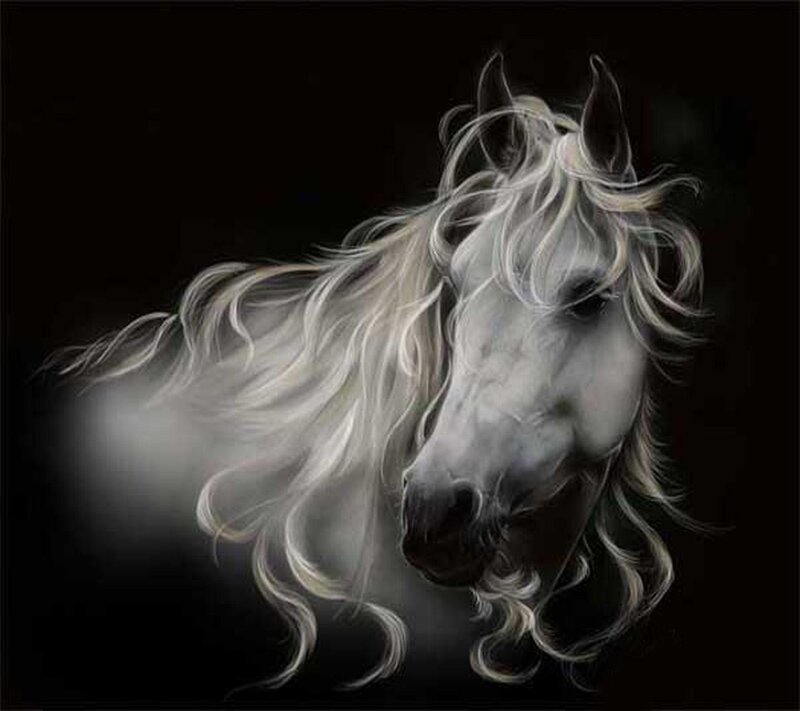 White Horse Head — Black, Dramatic, Digital Art