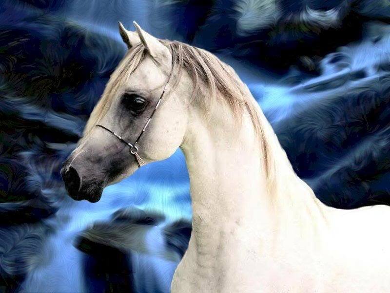 White Horse Head — Blue