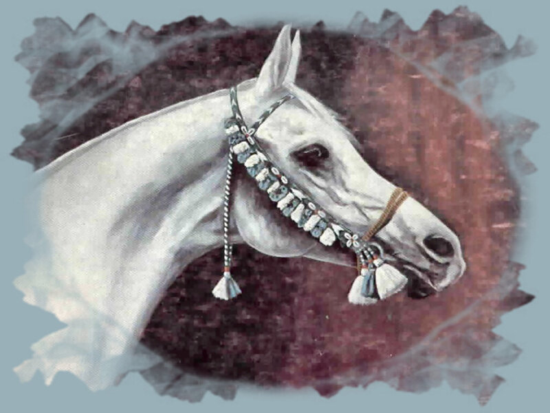 White Horse Head — Calm, Painting, Bridle