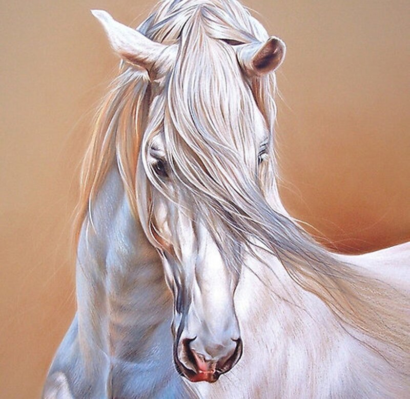 White Horse Head — Calm, Painting, Mane