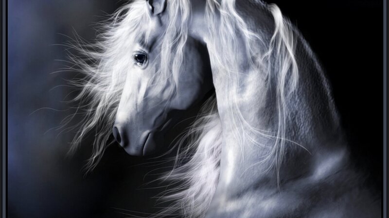 White Horse Head — Dramatic, Digital Art, Mane