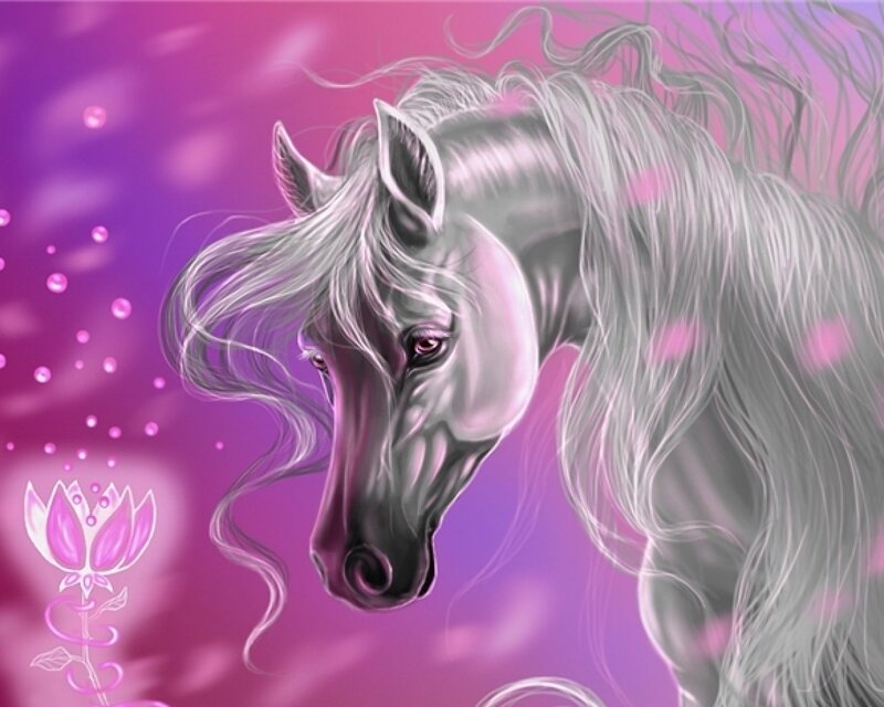 White Horse Head — Pink