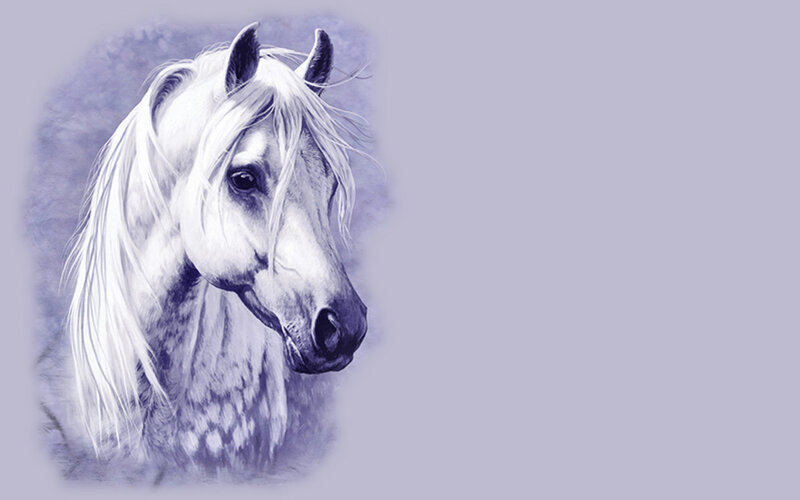 White Horse Head — Purple, Serene