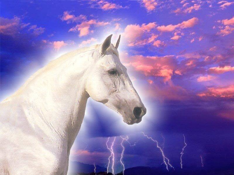 White Horse Head — Purple